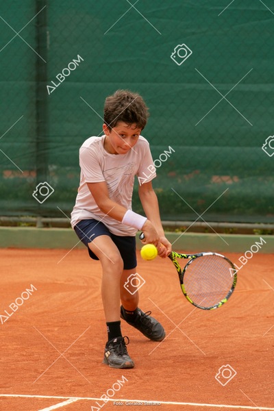 STEF1338.jpg