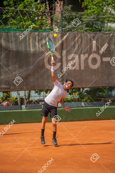 STEF8817.jpg