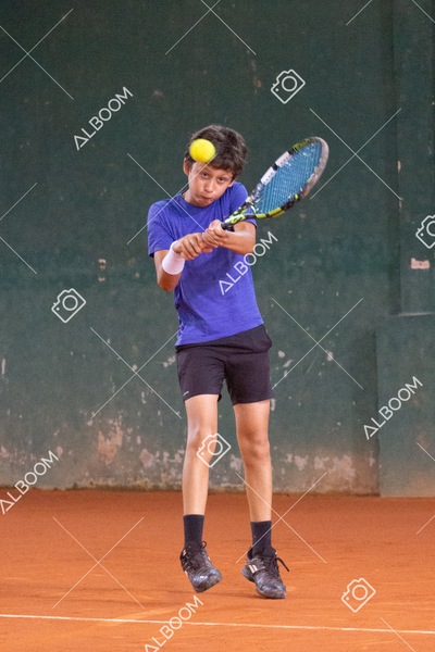 STEF6655.jpg