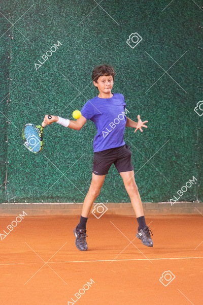 STEF6620.jpg