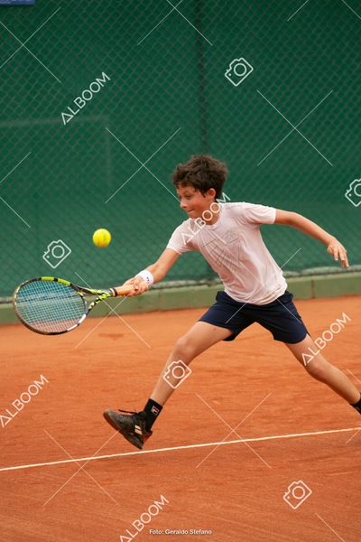 STEF1283.jpg