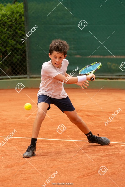 STEF1329.jpg