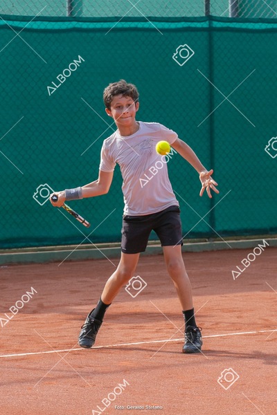STEF0751.jpg