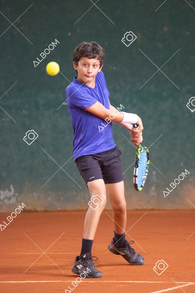 STEF6652.jpg
