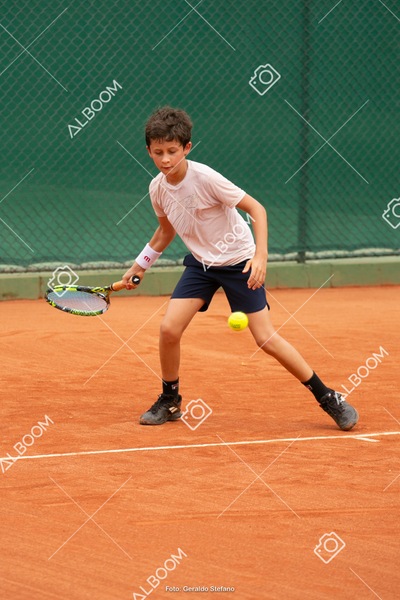 STEF1284.jpg