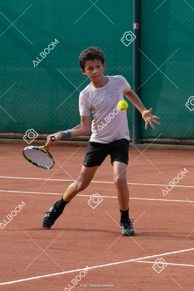 STEF0766.jpg