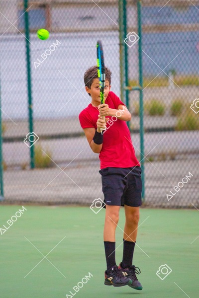 STEF3842.jpg