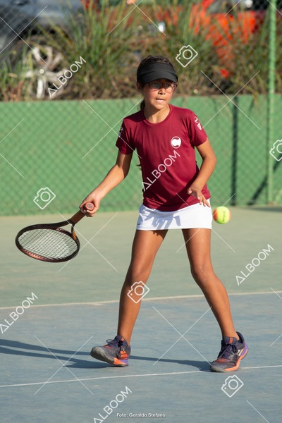STEF0262.jpg