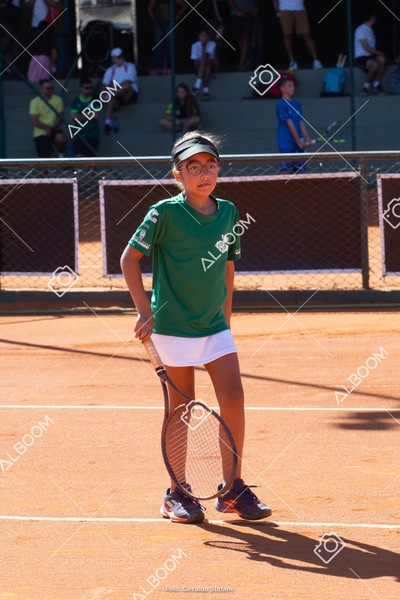 STEF2325.jpg