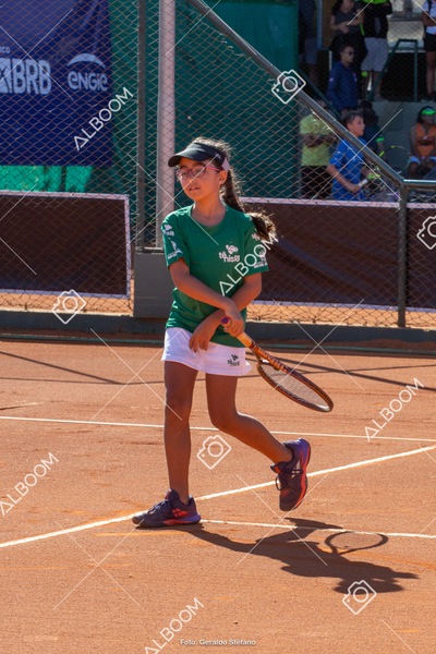 STEF2260.jpg