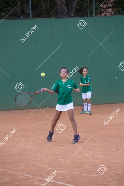 STEF0869.jpg