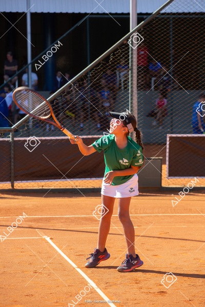 STEF2274.jpg