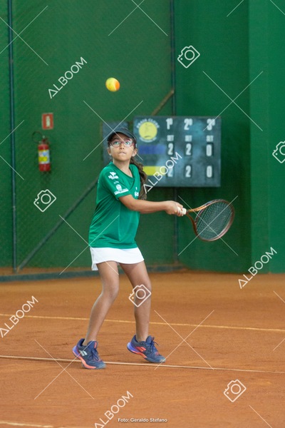 STEF1276.jpg