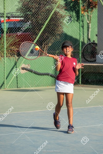 STEF0261.jpg