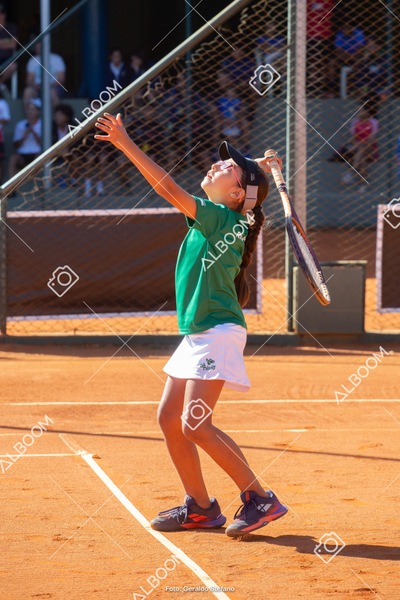 STEF2271.jpg