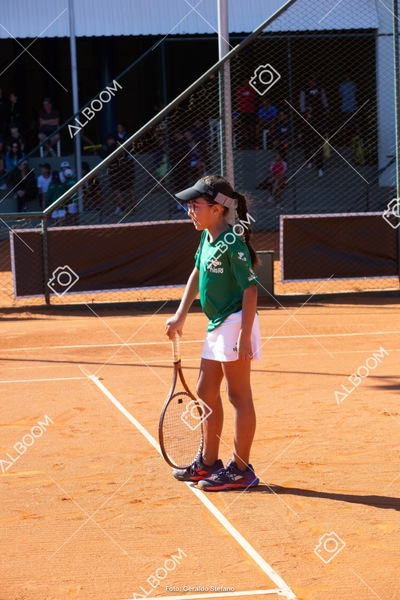 STEF2281.jpg