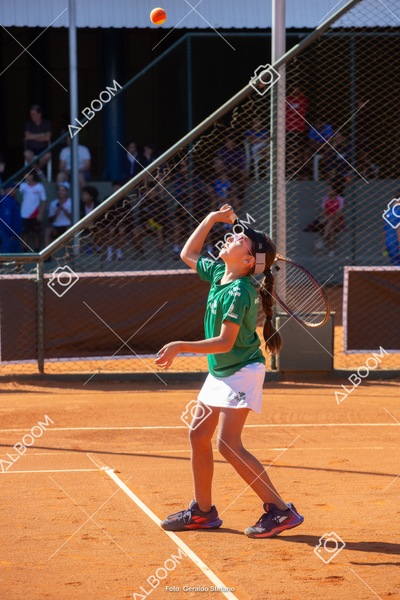 STEF2273.jpg