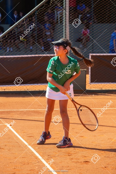 STEF2275.jpg