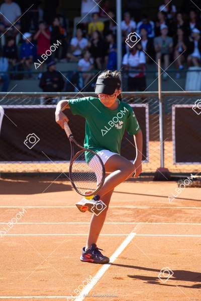 STEF2270.jpg
