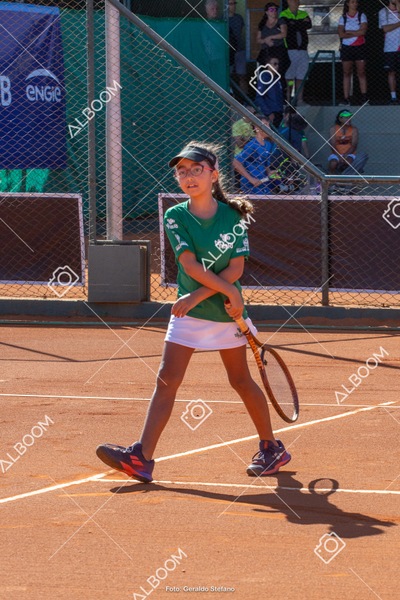 STEF2259.jpg