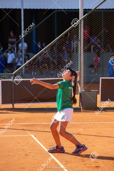 STEF2272.jpg