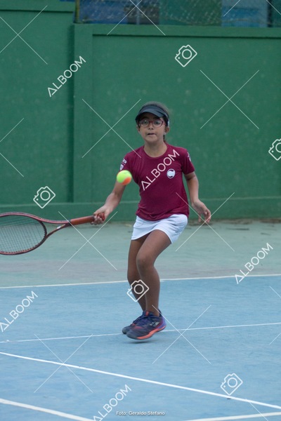 STEF0329.jpg
