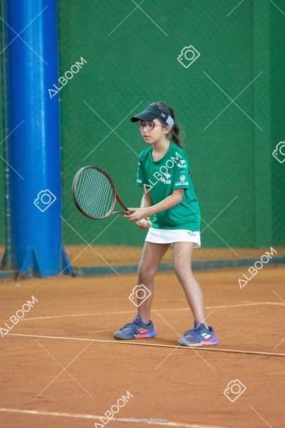 STEF1275.jpg