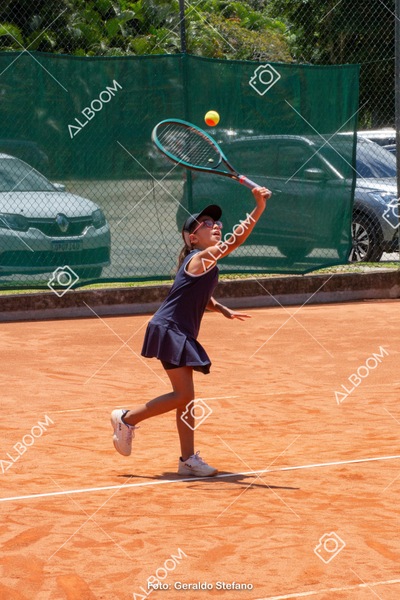 STEF1146.jpg