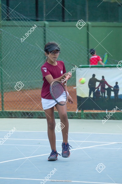 STEF0328.jpg