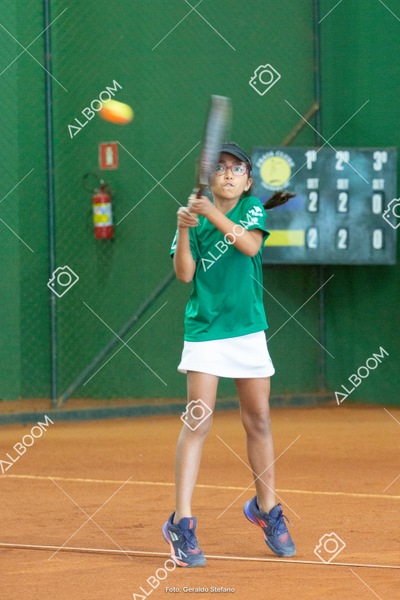 STEF1277.jpg