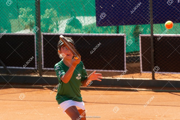 STEF2316.jpg