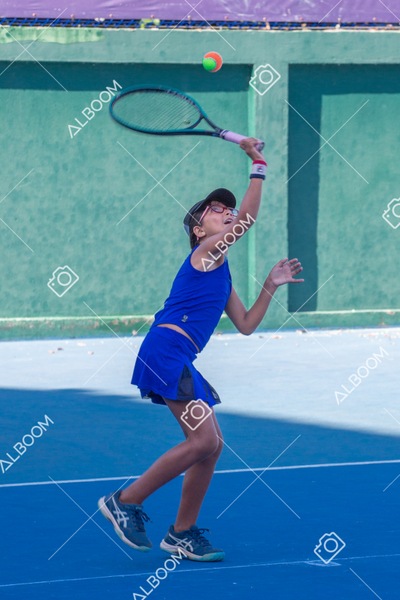 STEF4384.jpg