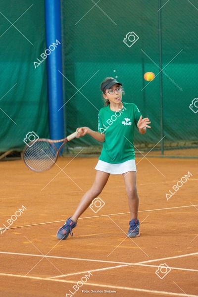 STEF1297.jpg