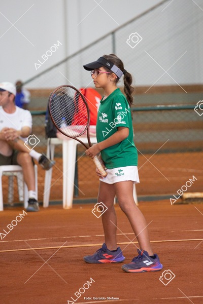 STEF1272.jpg