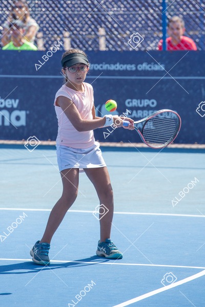 STEF0406.jpg