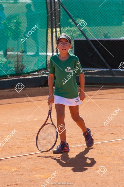 STEF2320.jpg