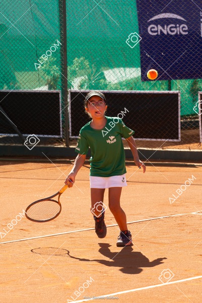 STEF2314.jpg