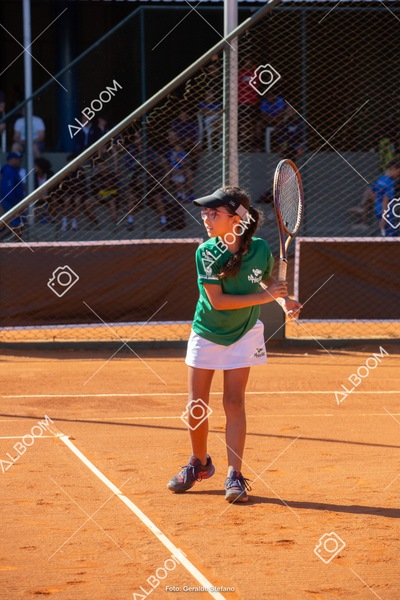 STEF2277.jpg