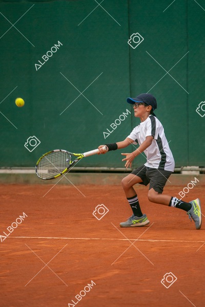 STEF0256.jpg