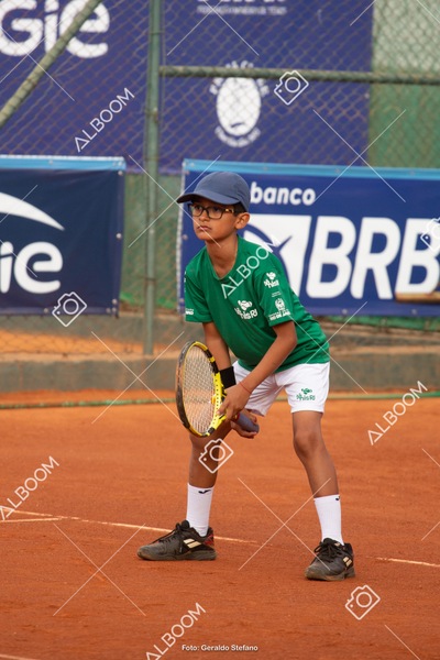 STEF3253.jpg