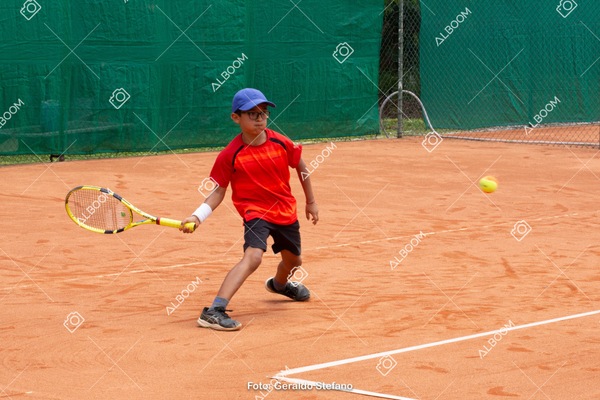 STEF1211.jpg