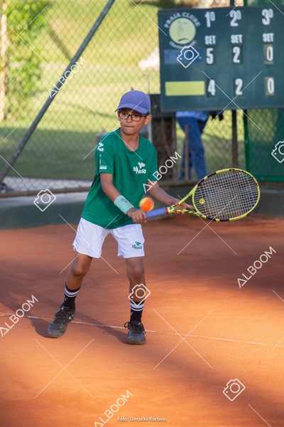 STEF2013.jpg