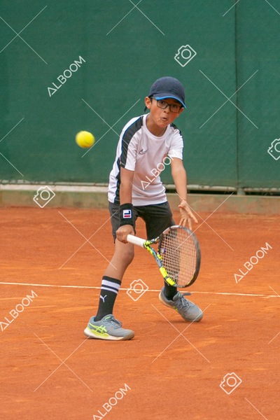 STEF0259.jpg