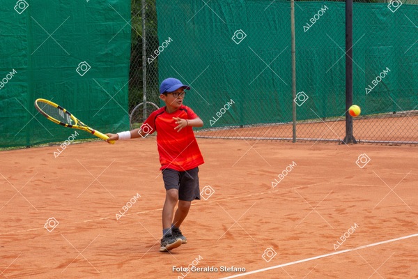 STEF1214.jpg