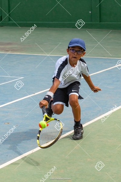 STEF0394.jpg