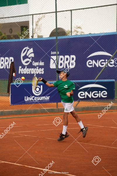 STEF3257.jpg