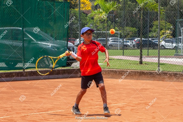 STEF1193.jpg