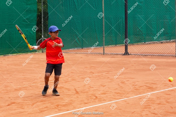 STEF1213.jpg
