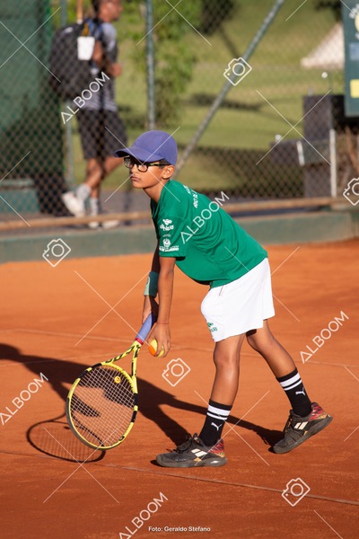 STEF1977.jpg