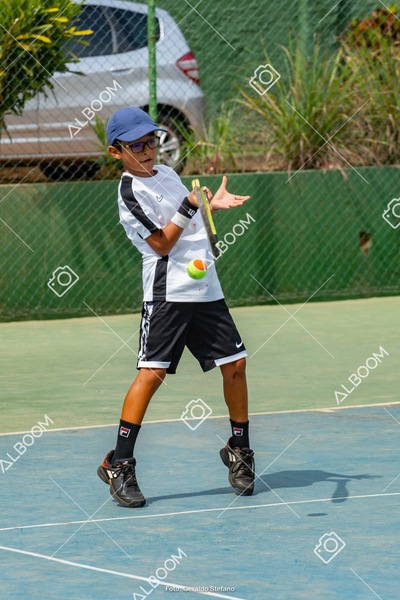 STEF0374.jpg